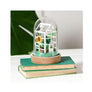 DIY Greenhouse Paper Craft Kit