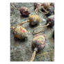 Hand-marbled Acorn Bauble