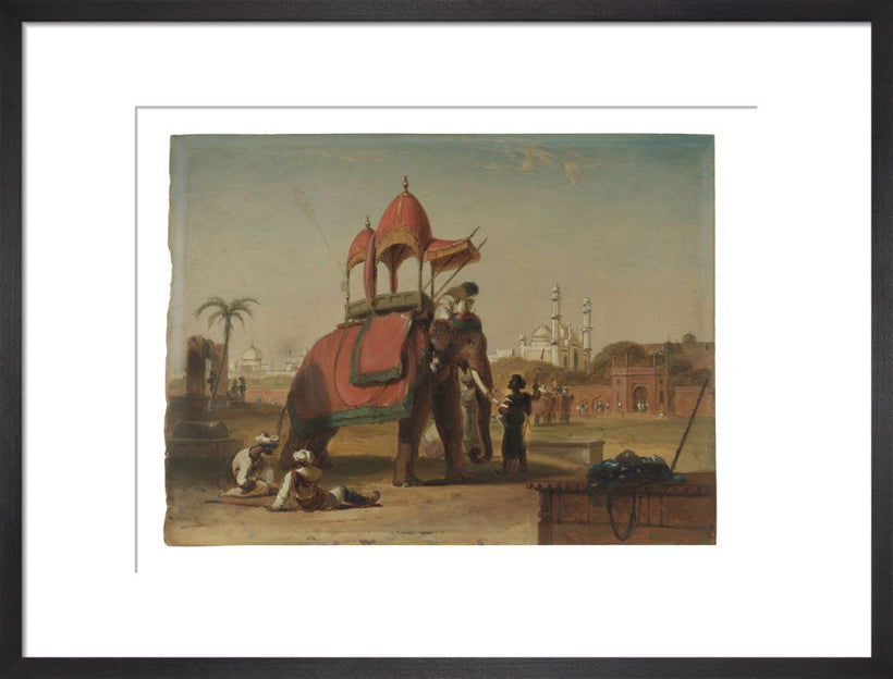 Elephant