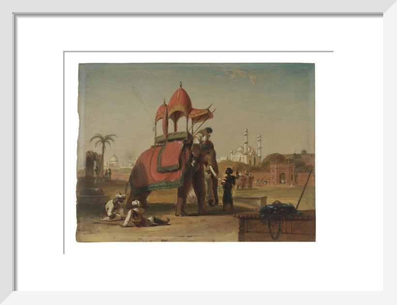 Elephant