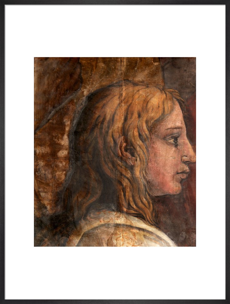 A Head from the Cartoon for the Tapestry of 'The Presentation in the Temple'