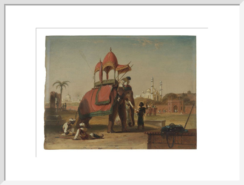 Elephant