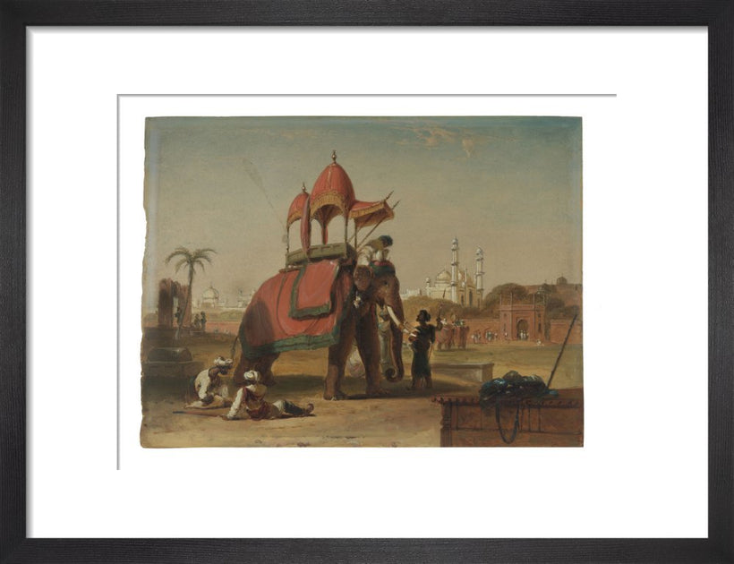 Elephant