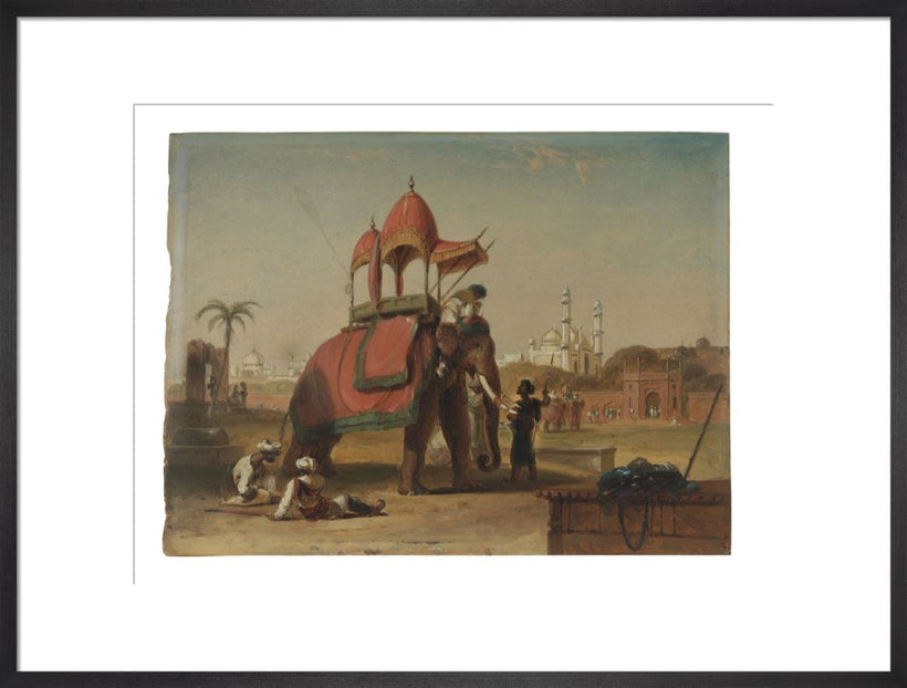 Elephant