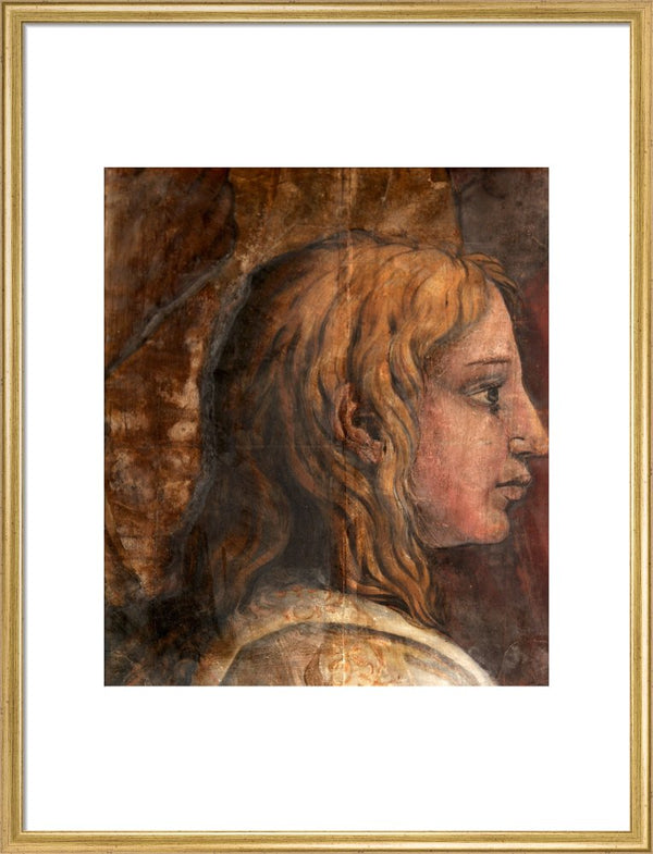 A Head from the Cartoon for the Tapestry of 'The Presentation in the Temple'