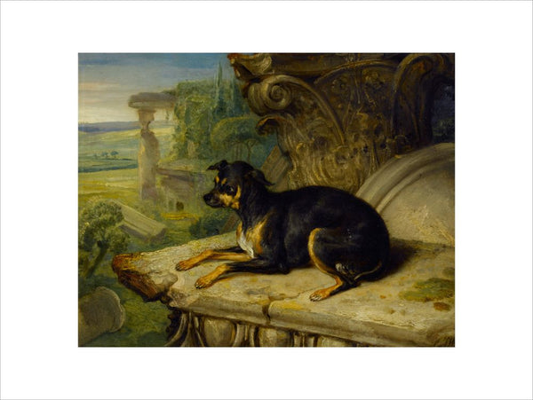 Fanny, a Favourite Dog