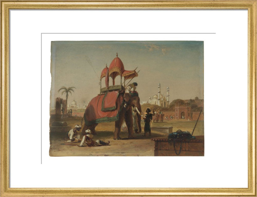 Elephant