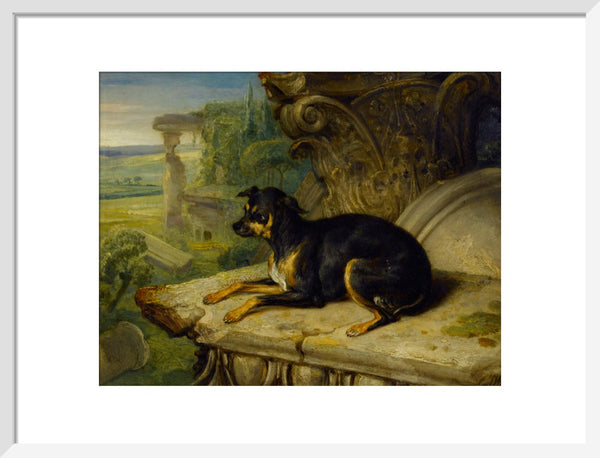 Fanny, a Favourite Dog