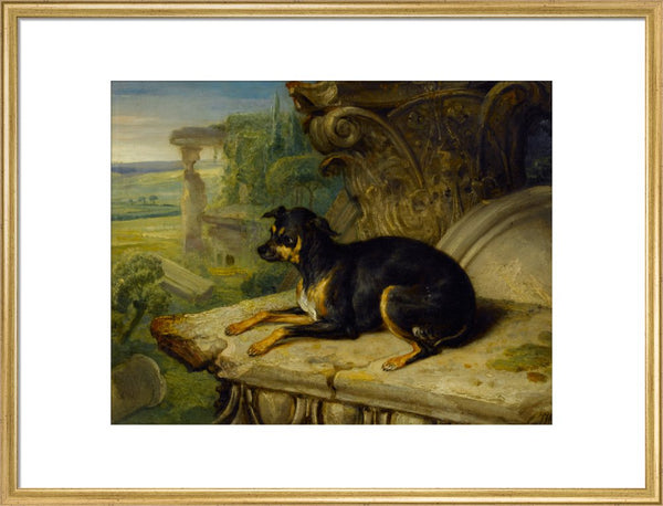 Fanny, a Favourite Dog