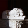 Crouching Canova Lion