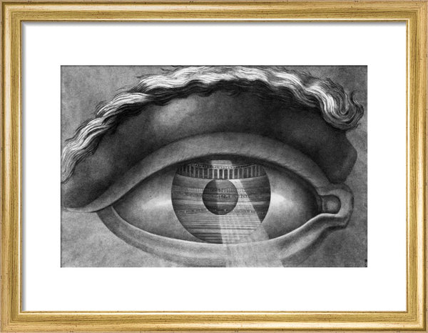 The Interior of the Theatre at Besancon Reflected in the Pupil of an Eye, 1804