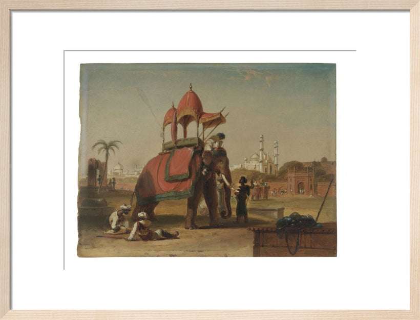 Elephant