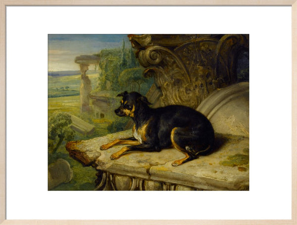 Fanny, a Favourite Dog