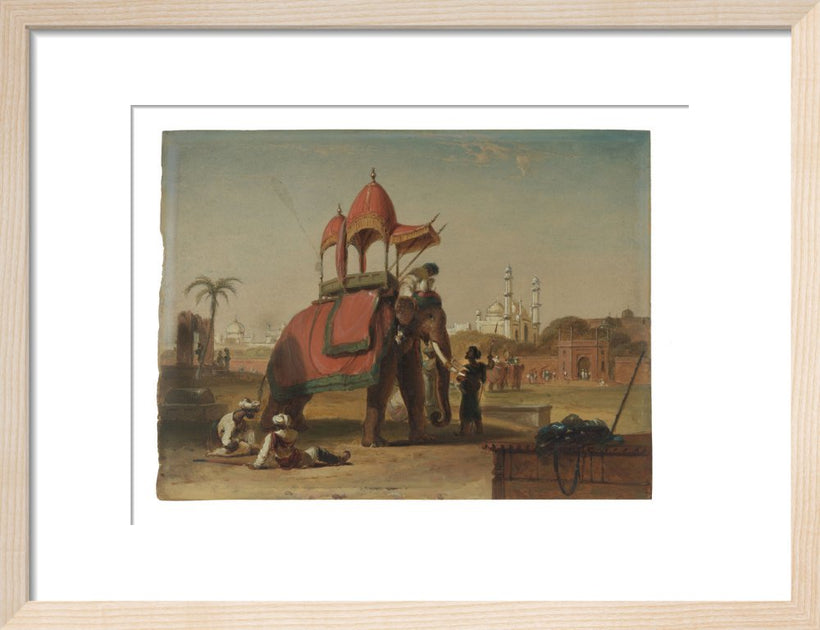 Elephant