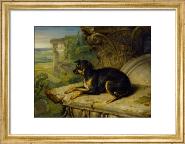 Fanny, a Favourite Dog