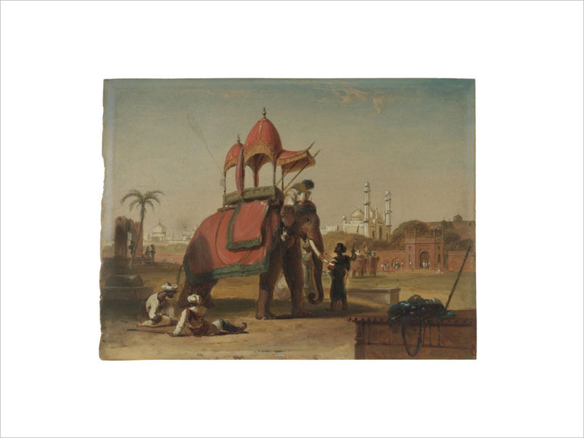Elephant