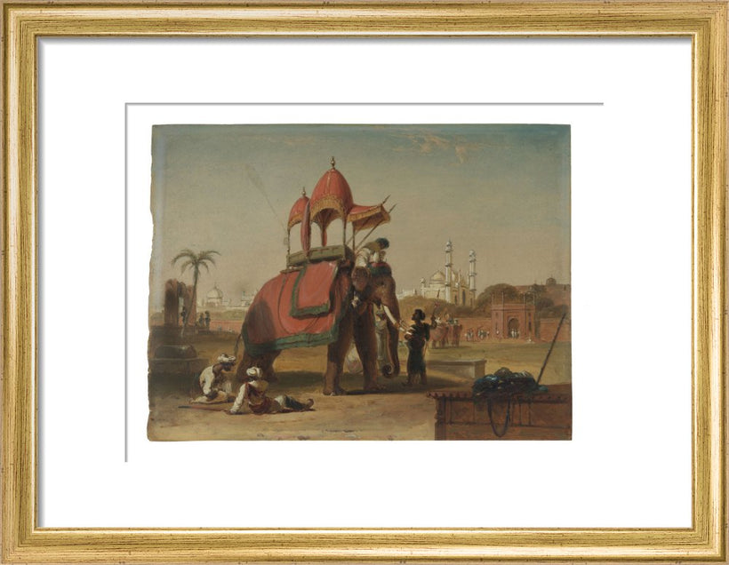 Elephant