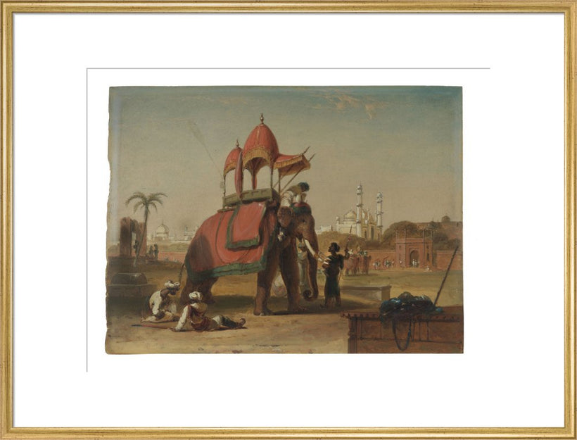 Elephant