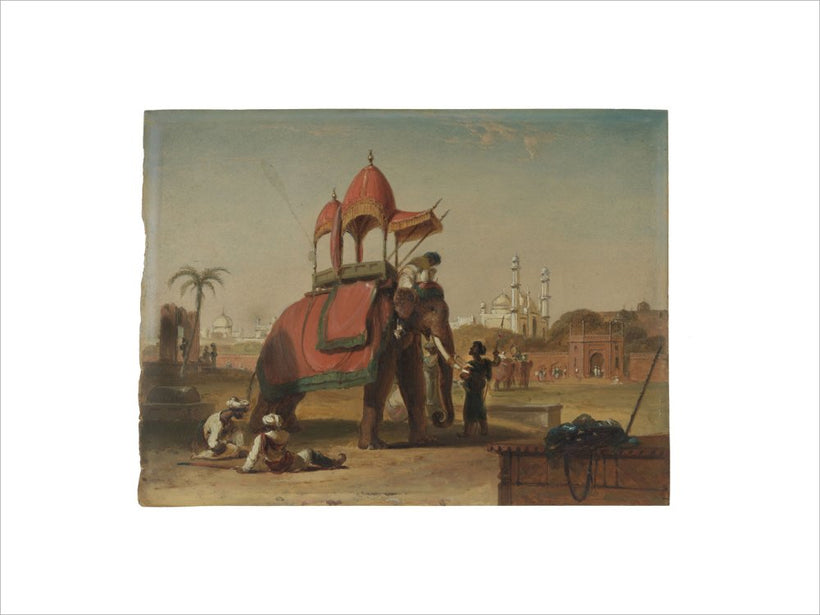 Elephant