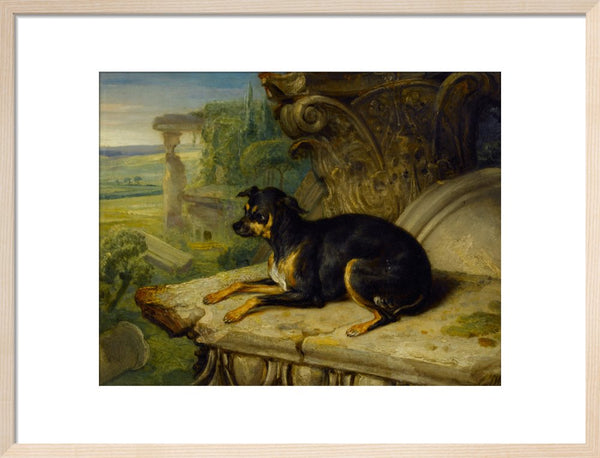 Fanny, a Favourite Dog