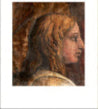 A Head from the Cartoon for the Tapestry of 'The Presentation in the Temple'