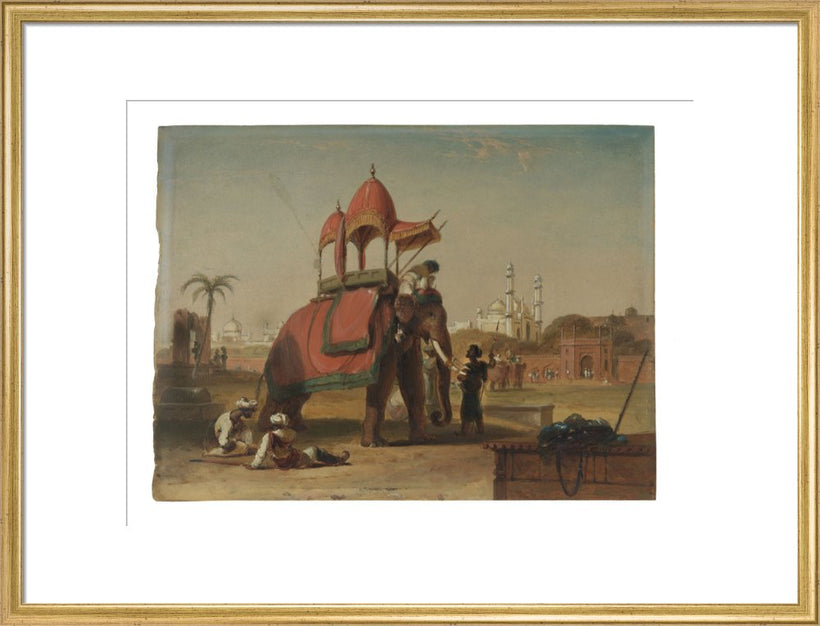 Elephant