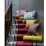 Cushion