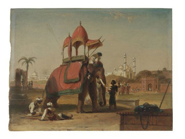 Elephant