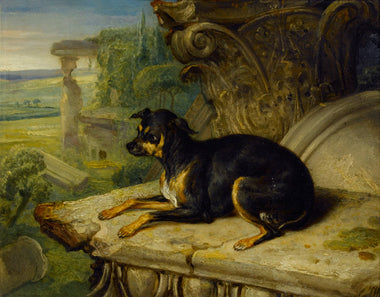 Fanny, a Favourite Dog