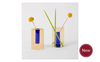 Reversible Glass Vase
