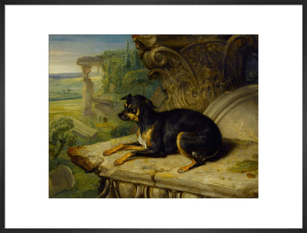 Fanny, a Favourite Dog