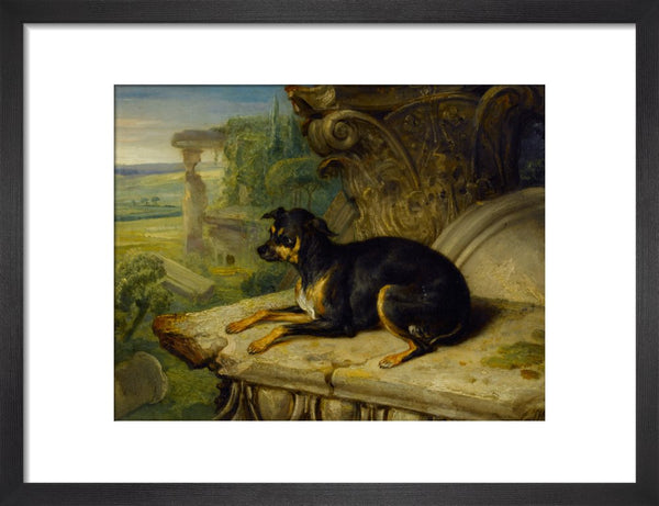 Fanny, a Favourite Dog