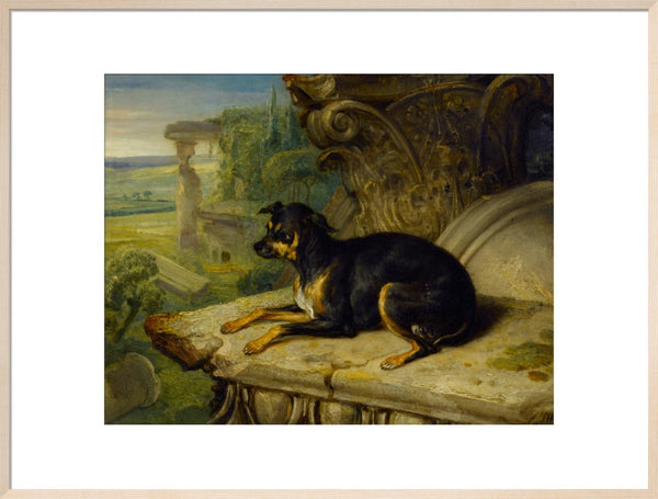 Fanny, a Favourite Dog