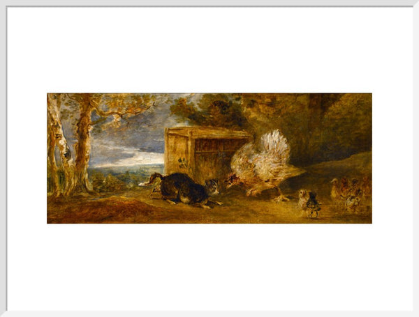 A Hen Defending Her Chickens from the Attack of a Cat