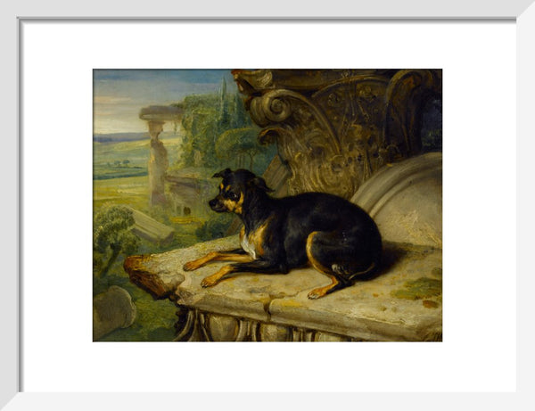 Fanny, a Favourite Dog