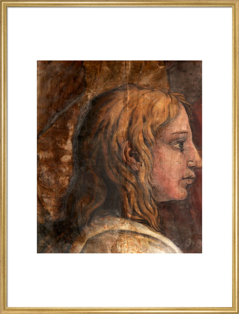 A Head from the Cartoon for the Tapestry of 'The Presentation in the Temple'