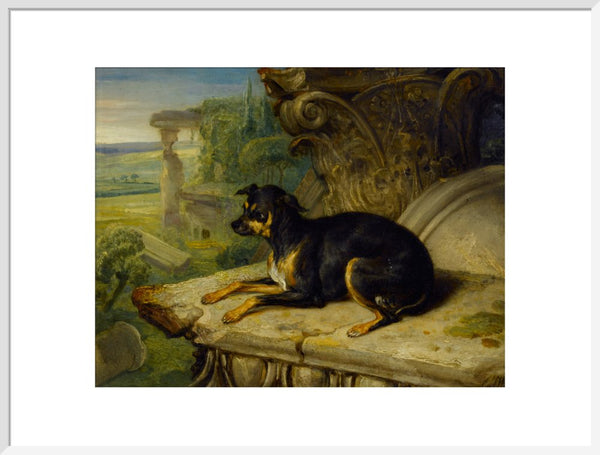 Fanny, a Favourite Dog