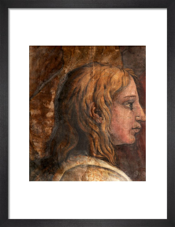 A Head from the Cartoon for the Tapestry of 'The Presentation in the Temple'