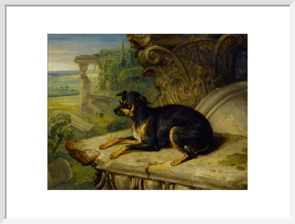 Fanny, a Favourite Dog