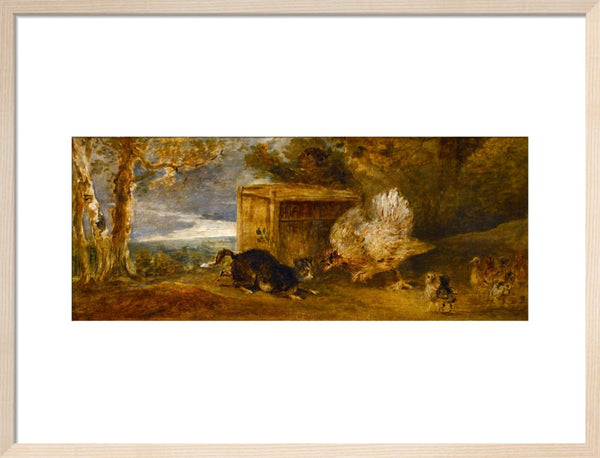 A Hen Defending Her Chickens from the Attack of a Cat