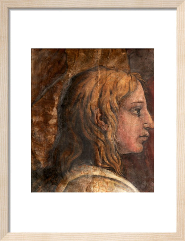 A Head from the Cartoon for the Tapestry of 'The Presentation in the Temple'