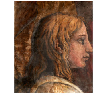 A Head from the Cartoon for the Tapestry of 'The Presentation in the Temple'