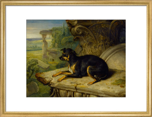 Fanny, a Favourite Dog