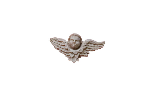 Grotesque Winged Cherub